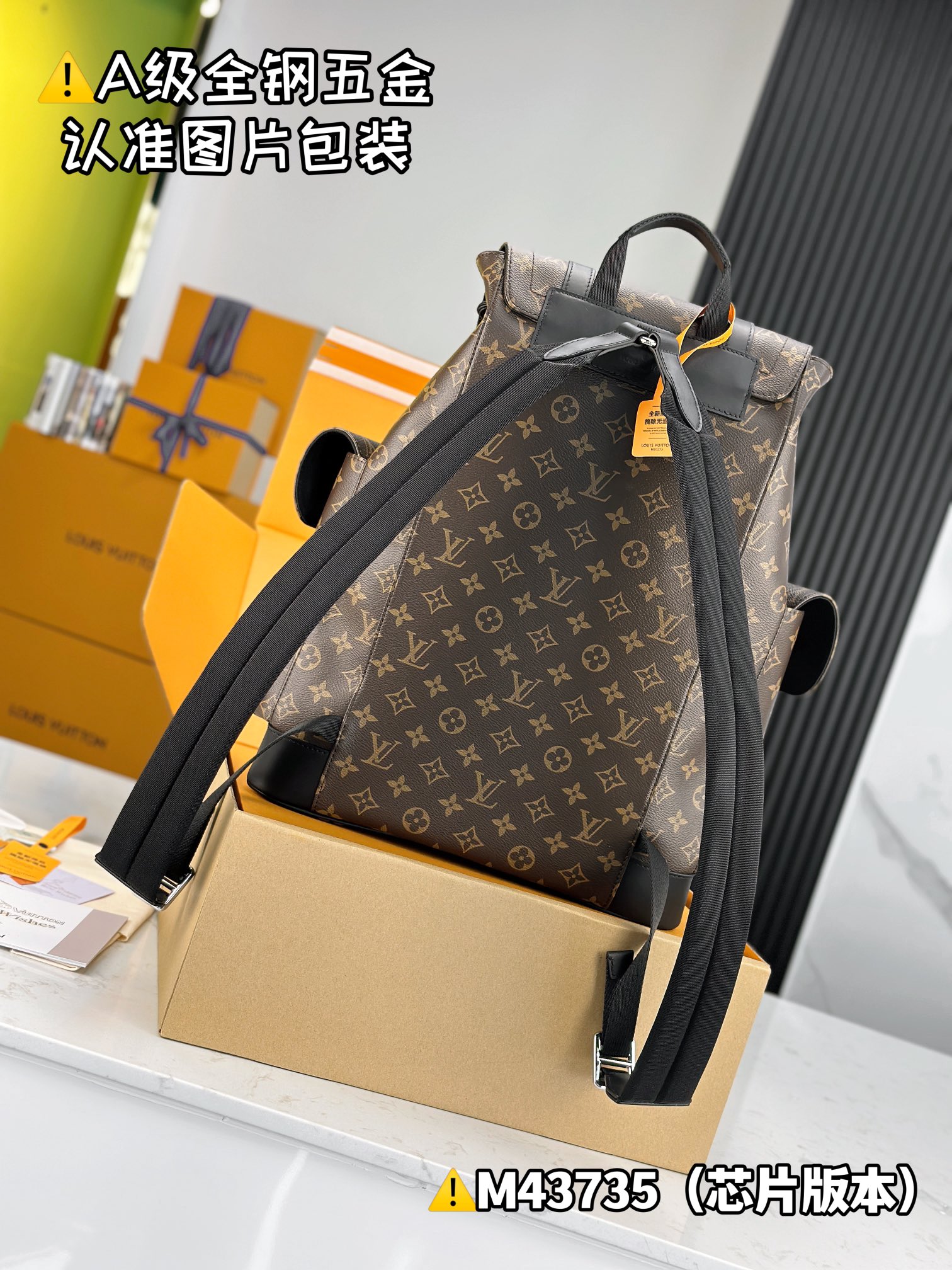 LV Backpacks